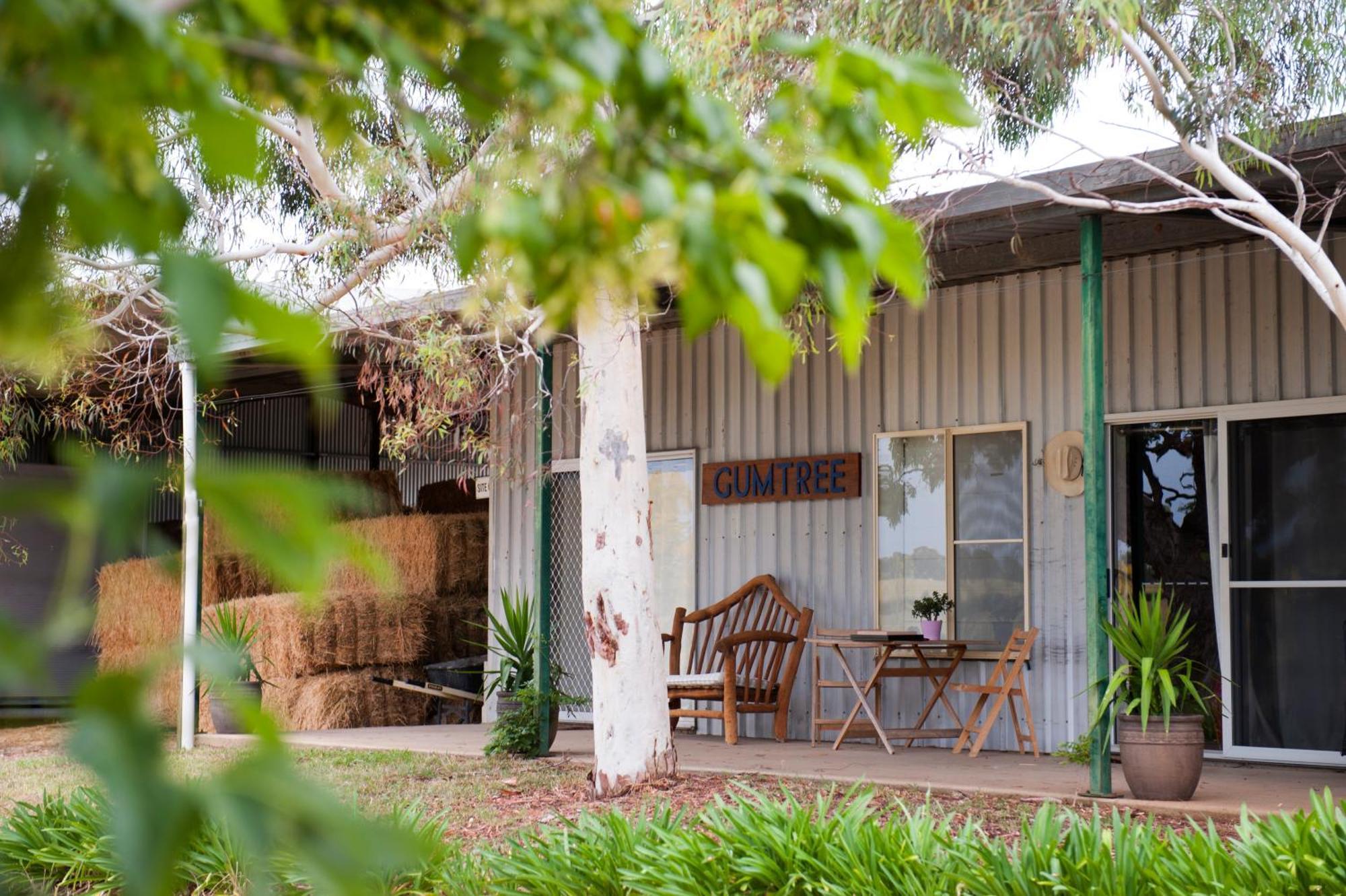 Villa Peppertree Farm Mudgee Esterno foto